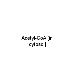 Acetyl-CoA [in cytosol]
